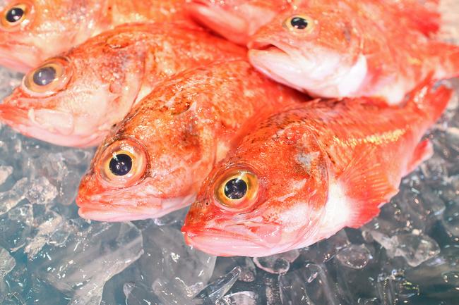 飲食店経営のノウハウ
