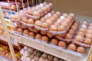 鳥インフルで卵が高騰、飲食店にも深刻な影響。ガスト、バーミヤンでは一部メニューを休止 飲食ニュース・トレンド