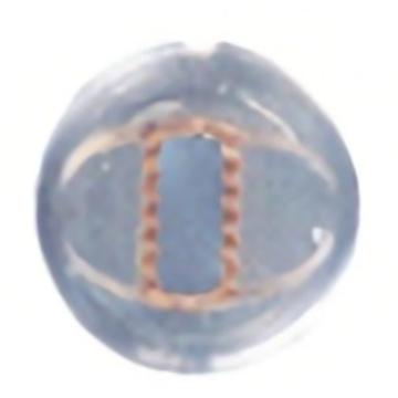 カルピット 口金 両目