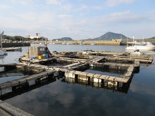 会社の特色・取扱商品のPR画像