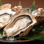 牡蠣の「生食用・加熱用」の違いとは？ 飲食店での安全な提供方法と食中毒リスクを解説【食材バイヤーズマガジン】