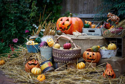 飲食ニュース・トレンド