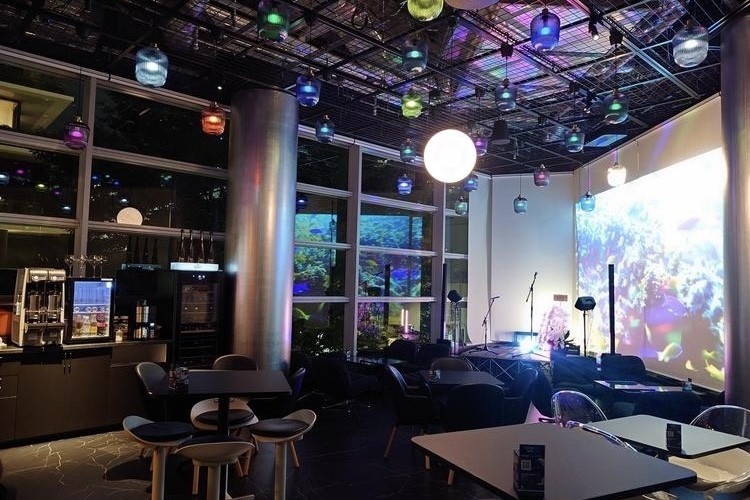 Live Music Cafe & Bar 巣籠