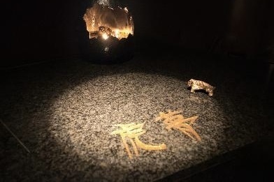 夢屋銀兵衛 虎夢