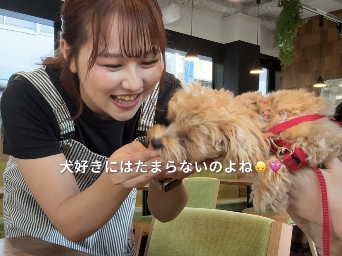 恵比寿にある『evergreen cafe restaurant EBISU』でアルバイト募集中！