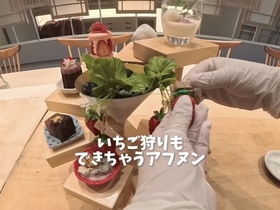 創作和食FANCL令和本膳