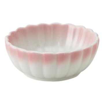 小菊　ピンク　小鉢