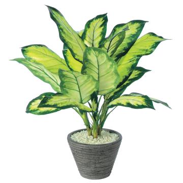 SG　ディフェン　バギアカミーラ