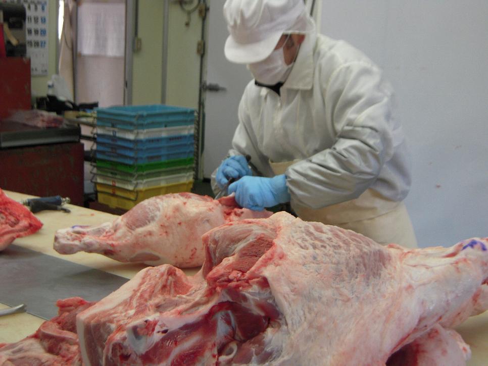 豚肉　解体中