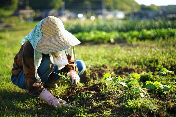 『食』を提供するだけでなく生産者の方にも貢献したい、それがクサマの想いです