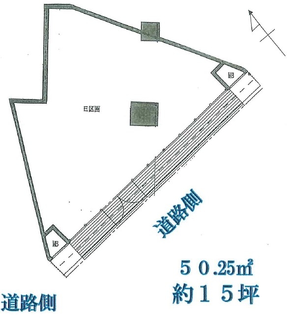 九条