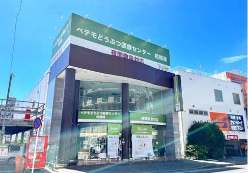 古淵（261.02坪）の店舗物件画像 外観・内観1