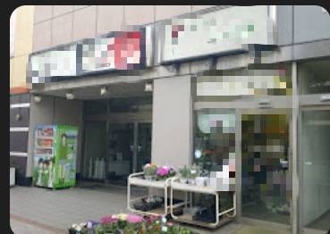 蕨