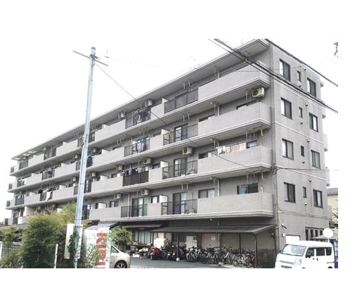 蕨