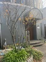 外観・内観8